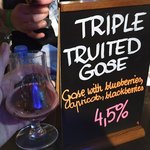 Triple Fruited Gose z North Brewing Co
