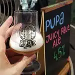 Pupa z Vibrant Forest Brewery