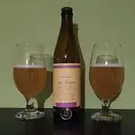 Discoveries Sour Passion z BeerLab