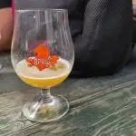 Phages z Finback Brewery